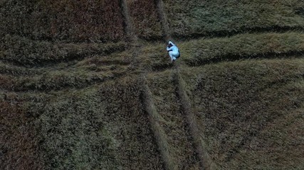 Young lady between 30 and 35 years old lying in the field. Aerial shooting