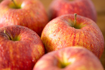 fruits, food and harvest concept - close up of ripe red apples