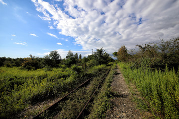 Fototapeta na wymiar Sukhumi, Georgia - 09.19.2018: Abandoned railway near the village of Gulripsh.