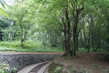公園