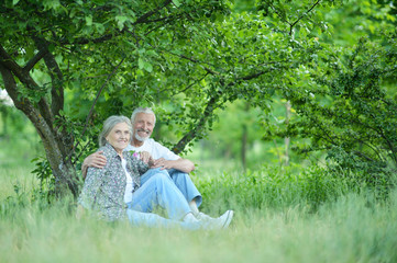 Fototapeta premium Portrait of cute senior couple in the park