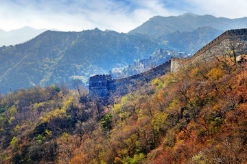 Panoramic view of the Mutianyu section of the Great Wall of China, surrounded by green and yellow vegetation under a cold morning light.