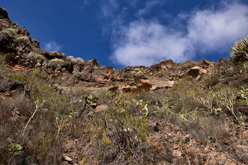 Barranco del Infierno(Hell's Gorge), Tenerife, Canary Islands