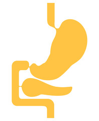 Fototapeta premium Human internal organs: Stomach and Pancreas. Flat design.