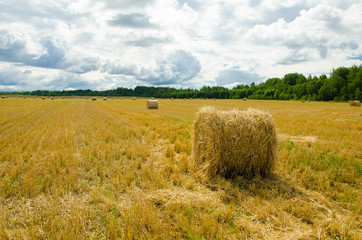 Landscape of haystacks on the field - 276527739