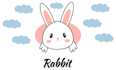 Obraz na płótnie Canvas Cute Rabbit Object