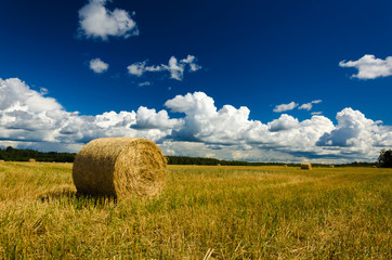 Landscape of haystacks on the field - 276528333