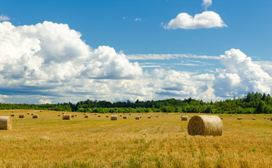 Landscape of haystacks on the field