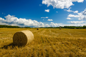 Landscape of haystacks on the field