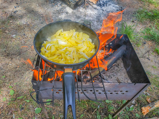 food cooked in nature fried potatoes in a skillet
