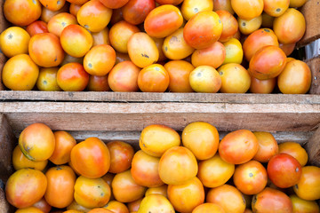 Local filipino tomato in the Philippines, closeup