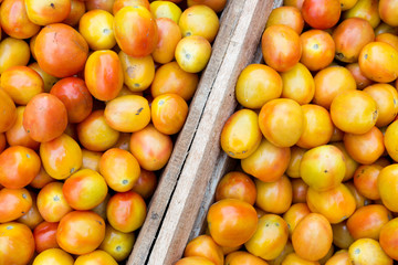Local filipino tomato in the Philippines, closeup