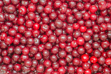 Background of fresh and ripe cherries - 276531597