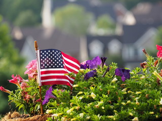 American flag in flowers with blurred houses on background. Independence Day July 4th celebration concept
