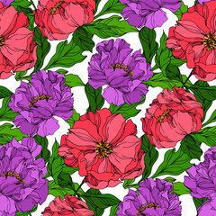 Peony floral botanical flowers. Wild spring leaf wildflower isolated. Engraved ink art. Seamless background pattern.