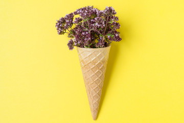 Herbs in a waffle cone on a yellow background