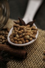 Coriander seeds on a ceramic spoon with cinnamon and star anise isolated on wooden background. Close-up, selective focus and shallow DOF.