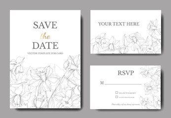 Vector Narcissus floral botanical flower. Gray engraved ink art. Wedding background card floral decorative border.