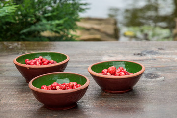 Close up, macro. Bright red wild strawberries in clay bowls. Lake on background.