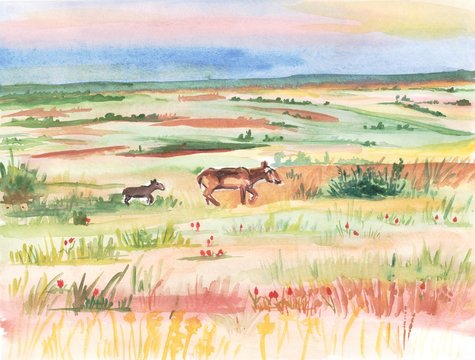  steppe summer landscape with saigas