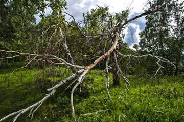 road to the mountains