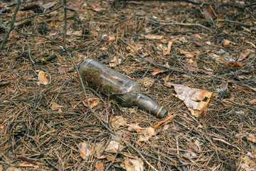 Obraz premium Glass bottle on the ground in a pine forest.