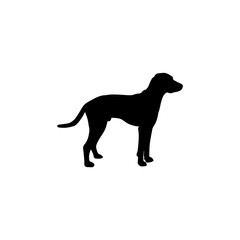 the silhouette of the dog. vector illustration