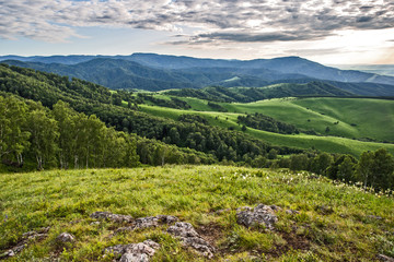 Fototapeta na wymiar mountain landscape with trees and blue sky