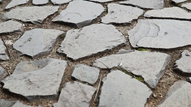 Pavement made of stone. Beautiful garden walkway
