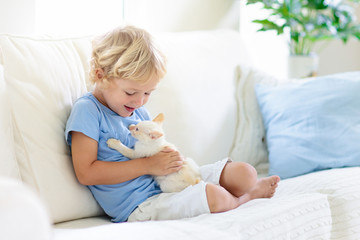 Child playing with baby cat. Kid and kitten.