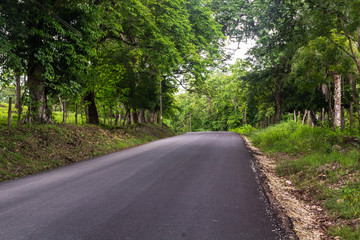Fototapeta na wymiar Road, Guanacaste, Costa Rica.