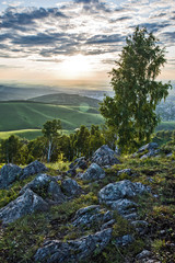 mountain landscape with trees and blue sky