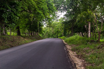 Fototapeta na wymiar Road, Guanacaste, Costa Rica.