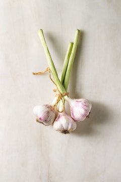 Bundle of young organic garden garlic over white marble background. Flat lay, space