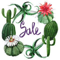 Green cactus floral botanical flower. Watercolor background illustration set. Frame border ornament square.