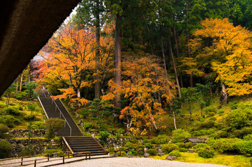 美しい日本の紅葉　京都にて