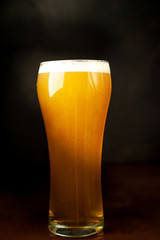 beer glass of fresh, tasty beer on a dark background