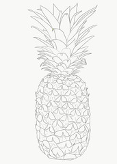 Pineapple for coloring page. Relax therapy.