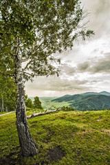 mountain landscape with trees and blue sky