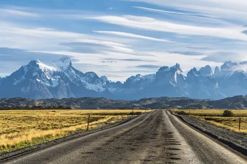 Papier peint adhésif Cuernos del Paine Beautiful view of rural road with golden yellow grass with background of nature cuernos mountains peak with cloud in autumn, Torres del Paine national park, south Patagonia, Chile