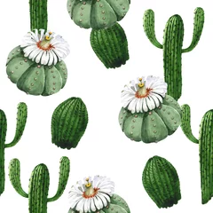 Fototapete Kaktus Botanische Blumenblume des grünen Kaktus. Aquarellhintergrundillustrationssatz. Nahtloses Hintergrundmuster.