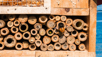 the little things...