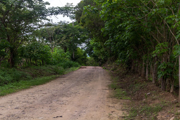 Fototapeta na wymiar Road, Guanacaste, Costa Rica. 