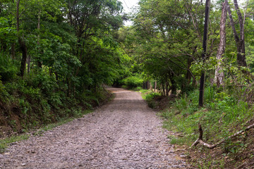 Obraz premium Road, Guanacaste, Costa Rica. 