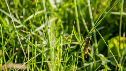 die kleinen Dinge im Leben