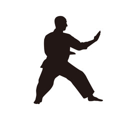 Fototapeta na wymiar Martial Arts Fighter Silhouettes
