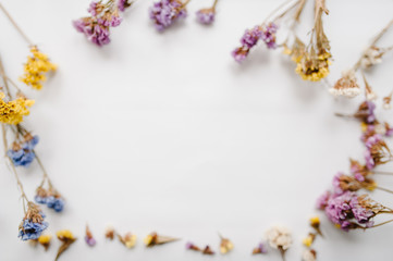 Frame made of dried colored flowers on a white background. copy space. Romantic flowers. Place for text and design. Greeting card. Flat lay, top view. Bokeh colorful, blurred, selective focus.