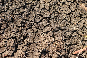 black, thirsty dry parched earth on a farm in drought in rural New South Wales, Australia