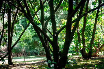 Woodland Recreation Area