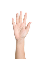 Child hand showing the five fingers isolated on a white background
